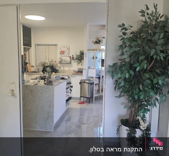 חדר עם מראה גדולה וצמח ירוק בפינה